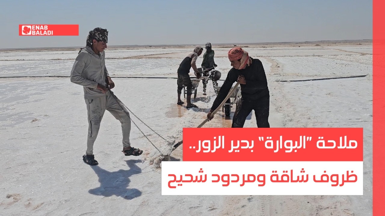 ملاحة ”البوارة“ بدير الزور.. ظروف شاقة ومردود شحيح