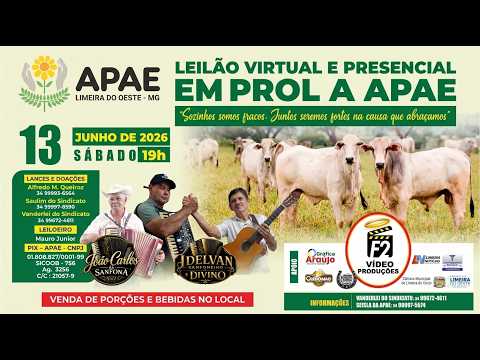 LEILÃO VIRTUAL E PRESENCIAL EM PROL DA APAE DE LIMEIRA DO OESTE.