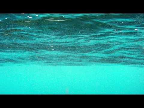 BSN Posse x Manul x Energy Man - Right Now