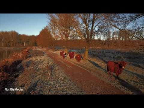 Ochtendgloren in de Broekpolder