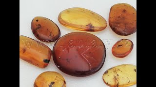  Křídový jantar SJ-38