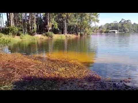 Lagoa da Tapera,Balneário Gaivota,SC.