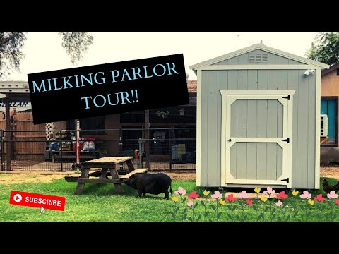 Milking Parlor Tour || Who Earned Their Milk Star?!?