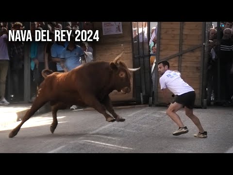 Nava del Rey 2024 Toro de Cajón