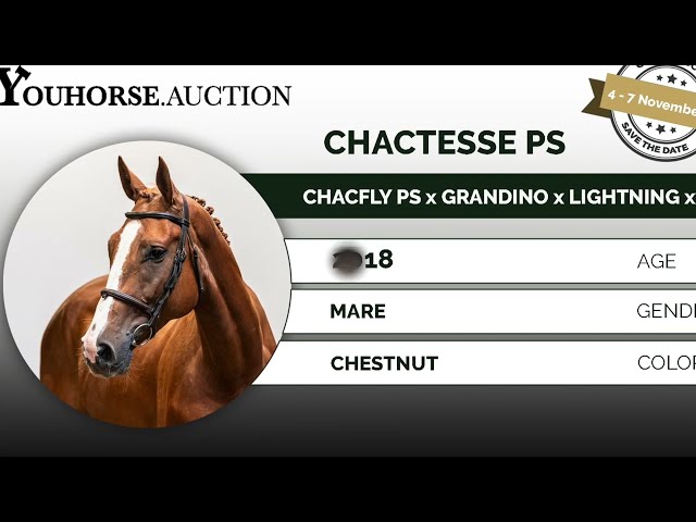 Chactesse PS
