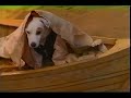 Wishbone Vhs Promo