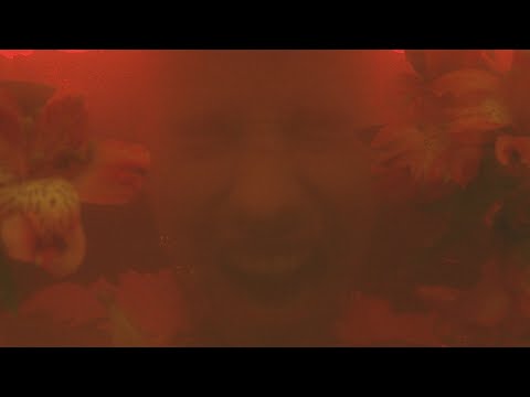 Feux - Sky High (Official Video)