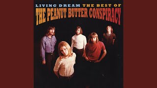 Why Did I Get So High