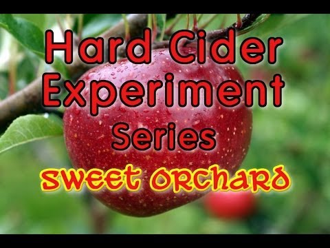 Hard Cider experiment series - Sweet Orchard