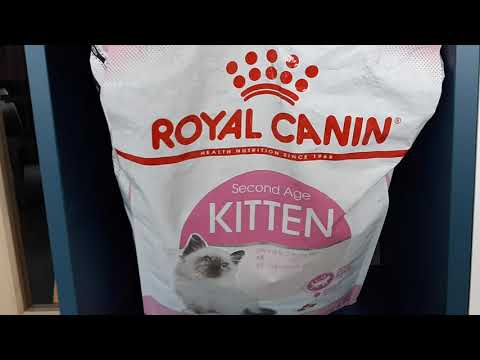 cat food  #RoyalCanin/ mika's food #mika