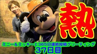 ミニー＆ミッキーと365日連続投稿グリーティング37日目〜熱〜