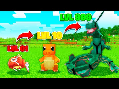 POKÉMON BATTLE SERVER in Minecraft