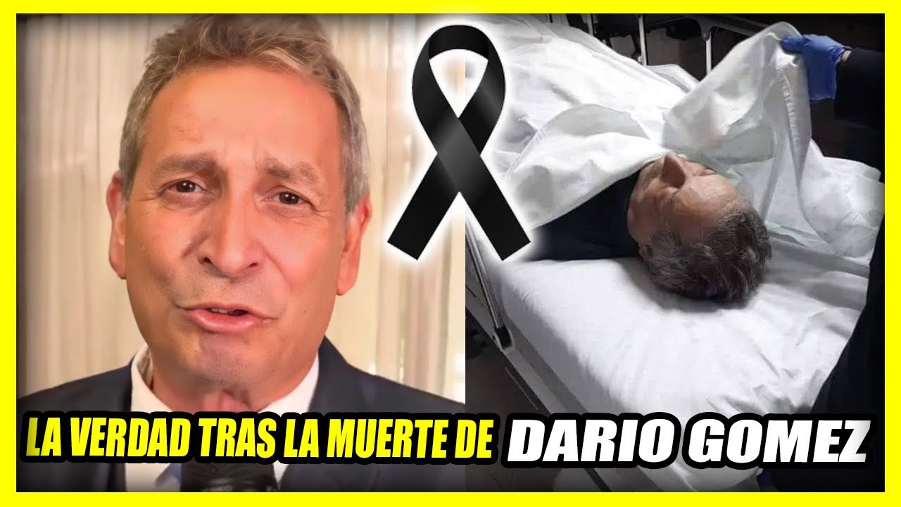 YouTube Thumbnail Downloader FULL HQ IMAGE