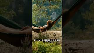 Feliz Sábado❤️🌞