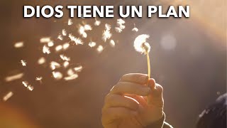 Mi vida yo la entrego a Dios + Fondo - IURD