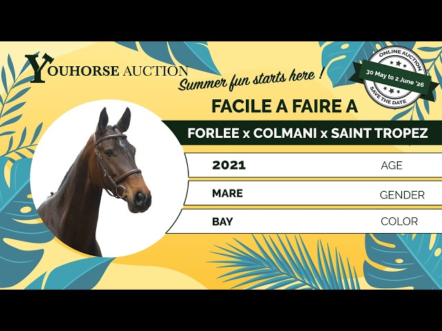 Facile à Faire A