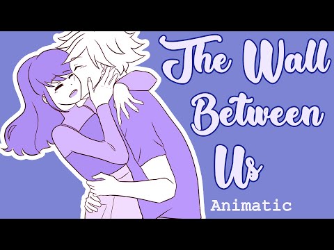 Ce mur qui nous sépare /  The wall between us - Miraculous Ladybug animatic