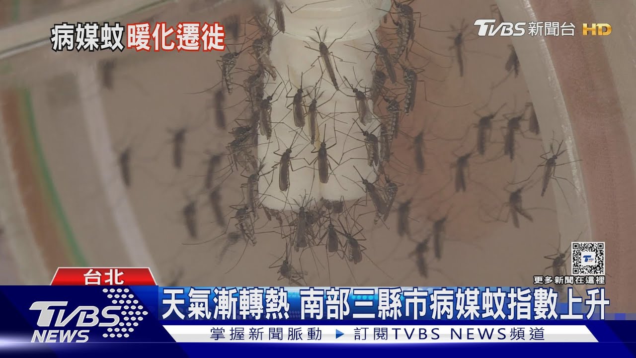 天氣漸轉熱 南部三縣市病媒蚊指數上升