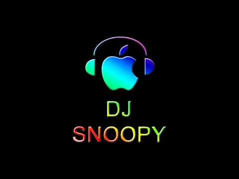 Wippenberg - Pong Fire (Dj Snoopy Remix)