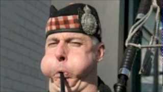 The Melvins - Anal Satan