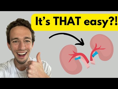 RAAS-System – ganz einfach erklärt! (5 Minuten)