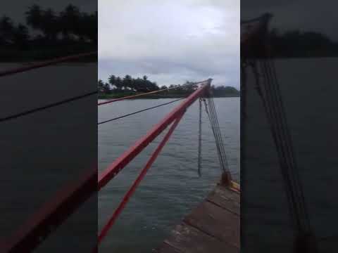 Jujuba de Limão - Rio São Francisco Piaçabuçu AL