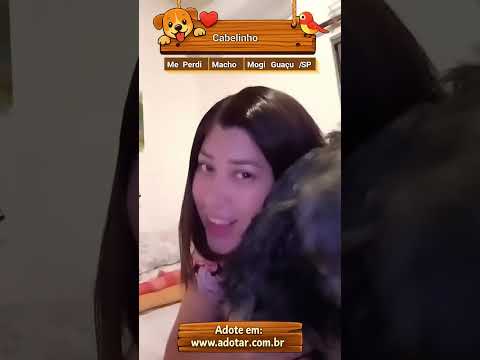 Vídeo de Cabelinho