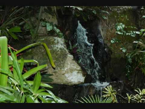 2010 Emerald Princess 9 12 min