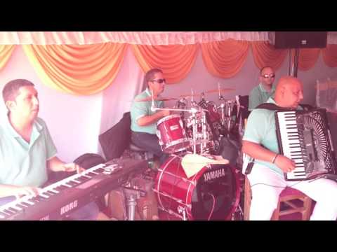 Ljubisa Bozinovic 2015 Zlokuce