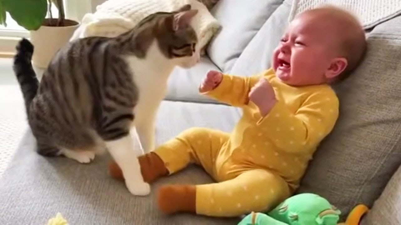Cat Tries to Stop Crying Baby! ❤️ The Most Heartwarming Moment