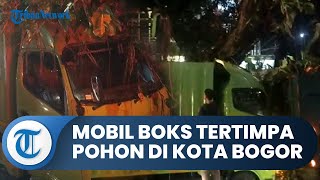 Bogor Hari Ini: Kondisi Mobil Boks Ekspedisi yang Tertimpa Pohon saat Hendak Ambil Paket