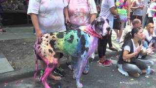 Lavender Country - Back in the Closet 2014