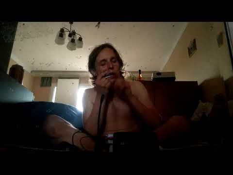 Ancient trance  (jaw harp) [1,25 speed]