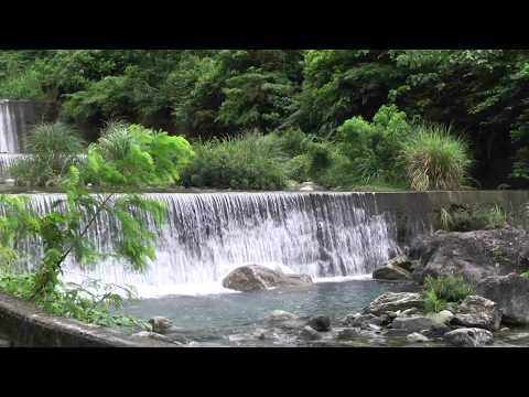 20190704 秀林鄉水源部落市集活動