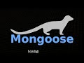 Mongoose 2 Overview