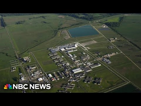 Investigation finds U.S. prison labor linked to popular food brands