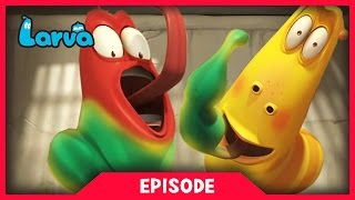 LARVA - SUPER STRENGTH | 2017 Cartoon Movie | Cartoons For Children | 라바 | LARVA Official