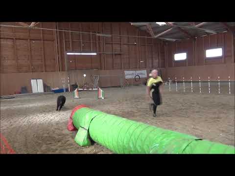 TORDAS-ZOO ŐSZI KUPA 2020.10.10 - Legendary of Jet Black Mithos