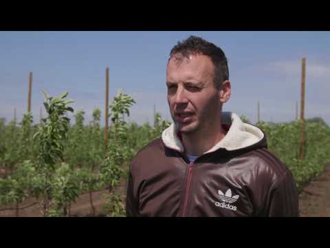 Domaćine kako radiš ep. 56  24.07.2017.