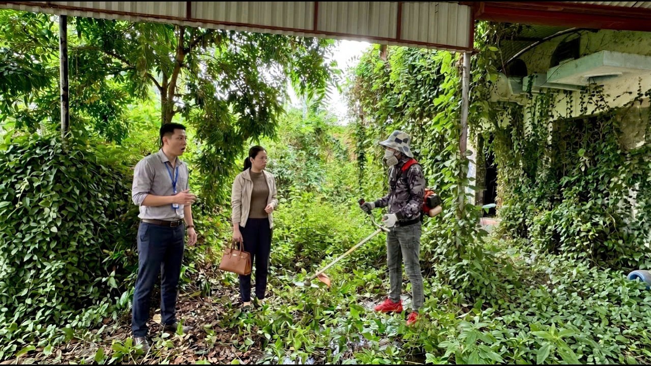 People say this place is a treasure trove, and if we could clean it up, we would have