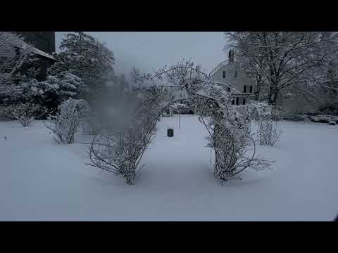 Snow storm walk in Salem, MA.