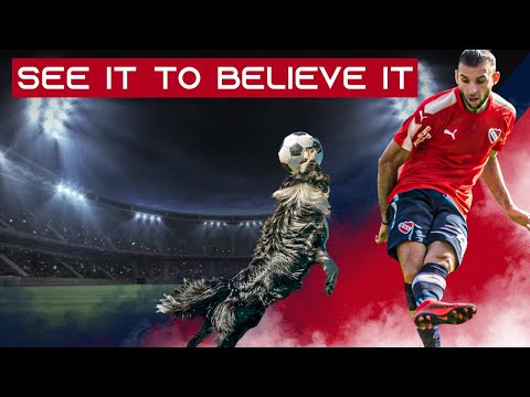 Crazy On Field Moments You Need To See To Believe