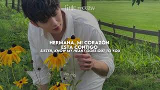 Sister—Mac DeMarco ‧₊˚ [Sub.Español + Lyrics]
