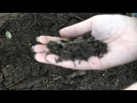 Turning the compost four weeks after installation