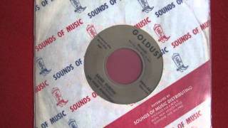 The New Dimensions - Sand Surfin'