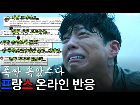감동에 눈물샘 폭발한 프랑스 반응 너 K드라마 왜 그렇게 많이 봐? 하던 가족들이...