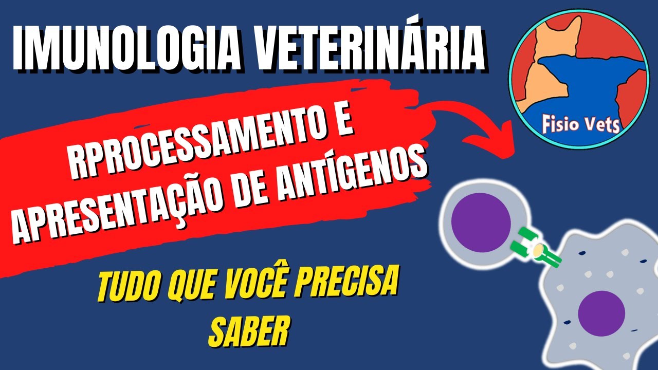 Como ocorre o processamento e apresentação antígenos - Imunologia veterinária