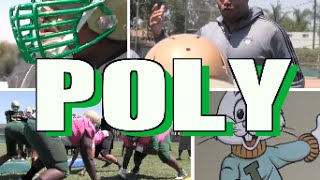 Dog Days Of Summer : Long Beach Poly 2015 (CA)