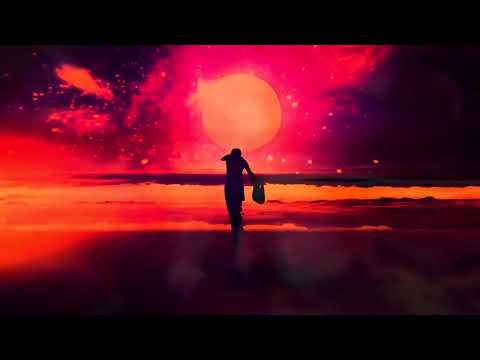 Dr Bocko - Like No Other