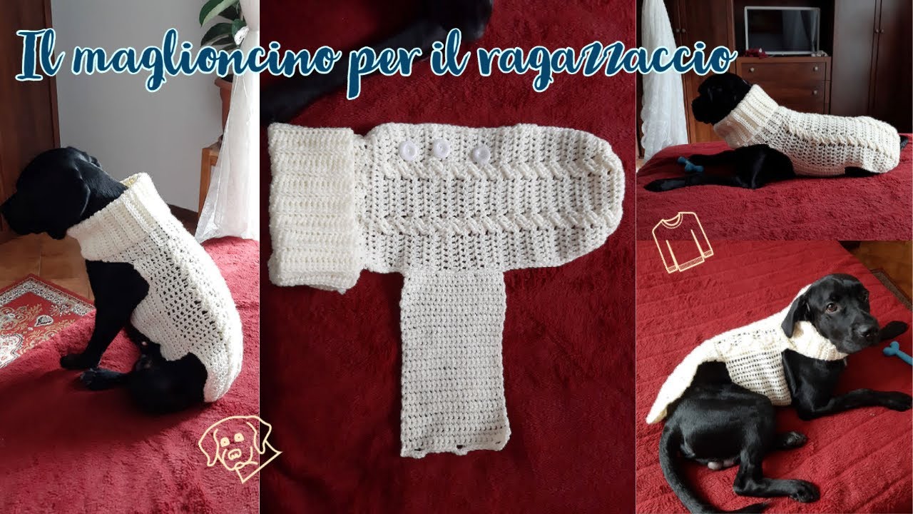 SCHEMA UNCINETTO PER MAGLIONCINO ADATTO A TUTTI I CANI 🐶🧶